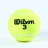 Wilson Championship Tennis Ball / Cricket ball