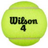 Wilson Championship Tennis Ball / Cricket ball