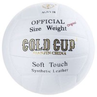 Gold Cup Volleyball