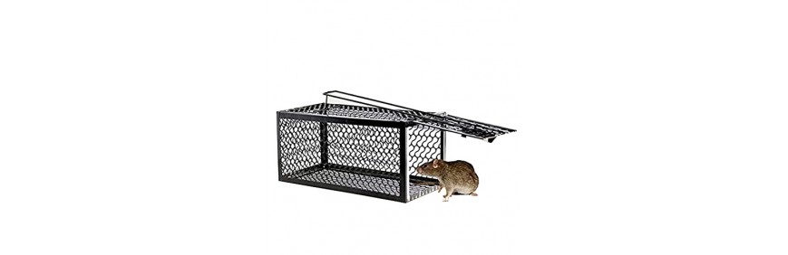 Rat Trap Cage